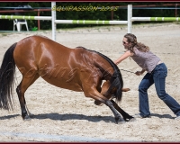 1-13JUIN 0554